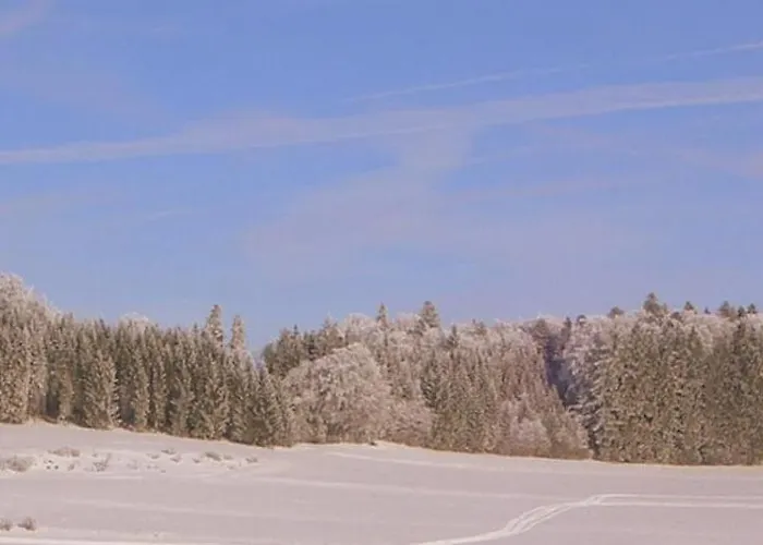 Eichenstein Vakantiehuis Messstetten